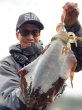 画像6: WILDCHASE 3.5号シャローtune /雷虎 らいと[監修:山口 譲二] (6)