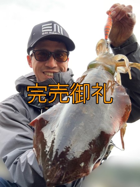 画像6: WILDCHASE 3.5号シャローtune /雷虎 らいと[監修:山口 譲二] (6)