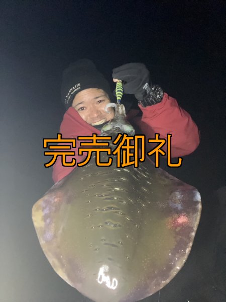 画像6: WILDCHASE 3.5号シャローtune /四雷 しらい[監修:藤原 弘貴] (6)