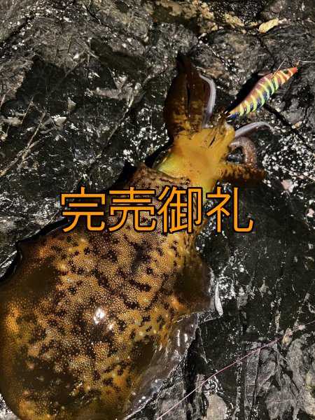 画像10: WILDCHASE 3.5号シャローtune /四雷 しらい[監修:藤原 弘貴] (10)