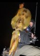 画像8: WILDCHASE 3.5号シャローtune /雷虎 らいと[監修:山口 譲二] (8)