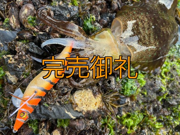 画像11: WILDCHASE 3.5号シャローtune /雷虎 らいと[監修:山口 譲二] (11)