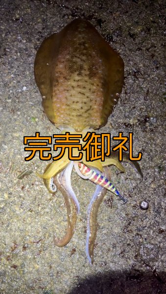 画像8: WILDCHASE 3.5号シャローtune /四雷 しらい[監修:藤原 弘貴] (8)