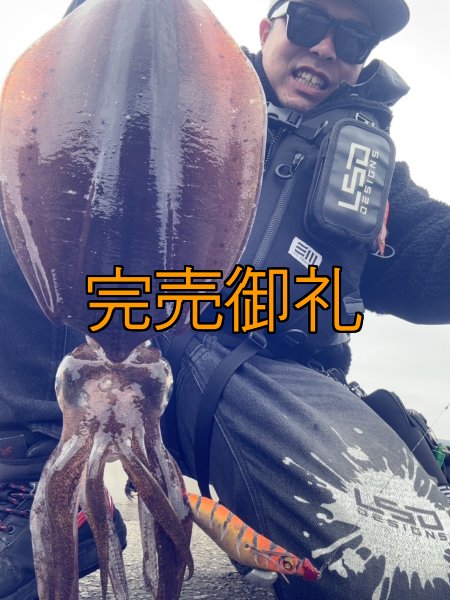 画像2: WILDCHASE 3.5号シャローtune /雷虎 らいと[監修:山口 譲二] (2)