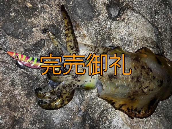 画像11: WILDCHASE 3.5号シャローtune /四雷 しらい[監修:藤原 弘貴] (11)