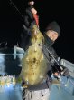 画像6: WILDCHASE 3.5号シャローtune /火雷 ほのいかずち[監修:新井 和也] (6)