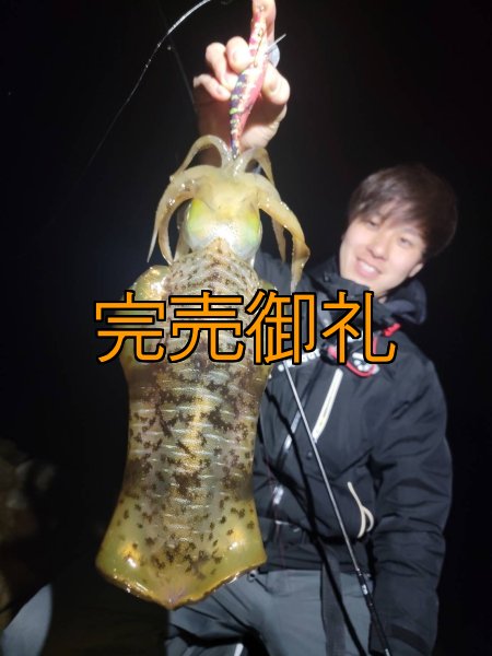 画像3: WILDCHASE 3.5号シャローtune /四雷 しらい[監修:藤原 弘貴] (3)