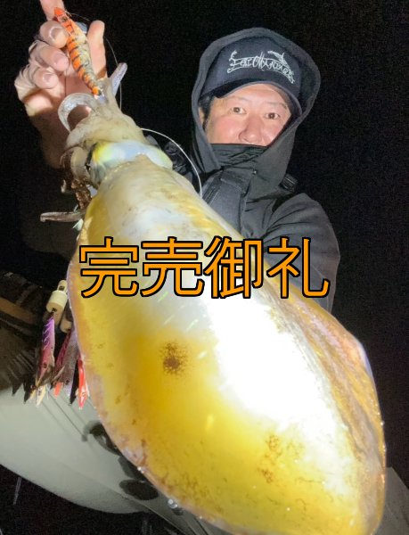 画像1: WILDCHASE 3.5号シャローtune /雷虎 らいと[監修:山口 譲二] (1)