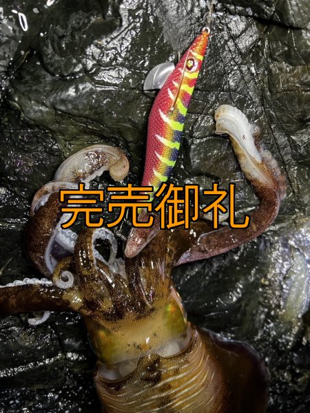 画像9: WILDCHASE 3.5号シャローtune /四雷 しらい[監修:藤原 弘貴] (9)