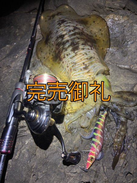 画像12: WILDCHASE 3.5号シャローtune /四雷 しらい[監修:藤原 弘貴] (12)