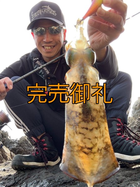 画像6: WILDCHASE 3.5号シャロー [特注:かめや釣具] (6)