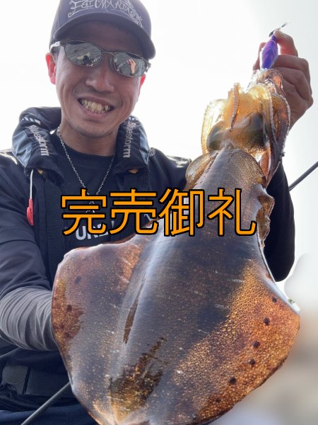 画像3: WILDCHASE 3.5号シャロー [特注:かめや釣具] (3)