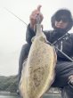 画像4: WILDCHASE 3.5号シャロー [特注:かめや釣具] (4)