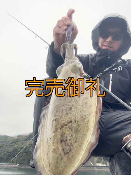 画像4: WILDCHASE 3.5号シャロー [特注:かめや釣具] (4)