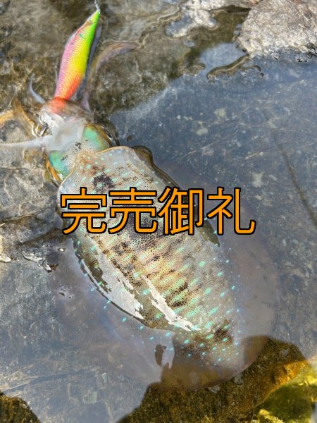 画像7: WILDCHASE 3.5号シャロー [特注:かめや釣具] (7)