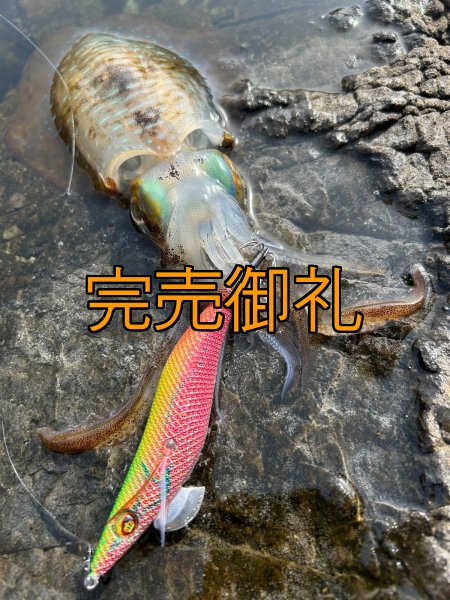 画像9: WILDCHASE 3.5号シャロー [特注:かめや釣具] (9)