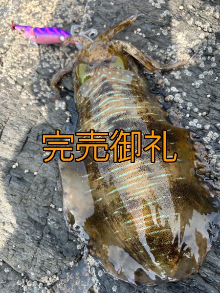 画像8: WILDCHASE 3.5号シャロー [特注:かめや釣具] (8)