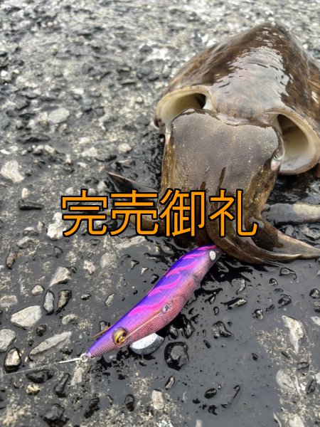 画像10: WILDCHASE 3.5号シャロー [特注:かめや釣具] (10)