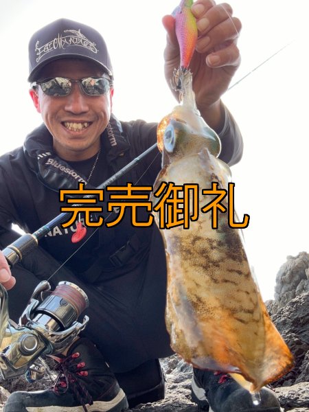 画像5: WILDCHASE 3.5号シャロー [特注:かめや釣具] (5)