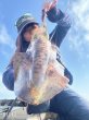 画像1: WILDCHASE 3.5号シャローtune /ピンクロビン[監修:藤本 奈浦子] (1)