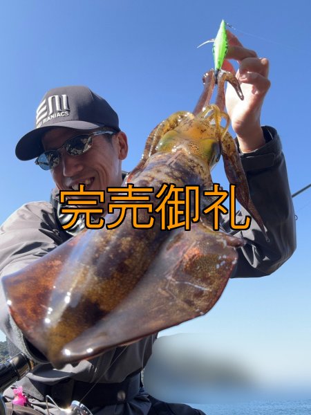 画像6: WILDCHASE 3.0号 /ピーコックＵＶ[監修:野田 広忠] (6)