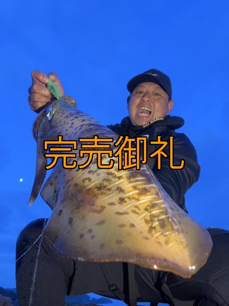 画像1: WILDCHASE 3.5号シャローtune /ピーコックＵＶ[監修:野田 広忠] (1)