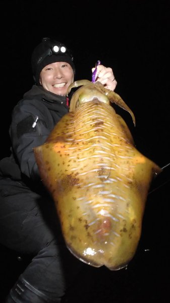 画像3: WILDCHASE 3.0号 /俺のフェニックス[監修:椿本 洋士] (3)