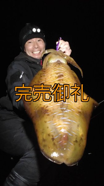 画像3: WILDCHASE 3.5号シャローtune /俺のフェニックス[監修:椿本 洋士] (3)