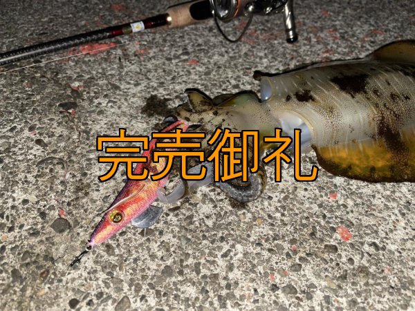 画像18: WILDCHASE 3.0号 /ピンクロビン[監修:藤本 奈浦子] (18)