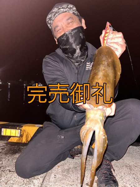 画像4: WILDCHASE 3.0号 /ピンクロビン[監修:藤本 奈浦子] (4)