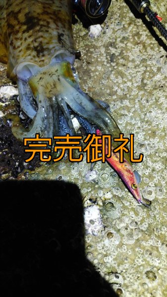 画像16: WILDCHASE 3.0号 /ピンクロビン[監修:藤本 奈浦子] (16)