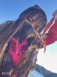 画像12: WILDCHASE 3.5号シャローtune /ピンクロビン[監修:藤本 奈浦子] (12)