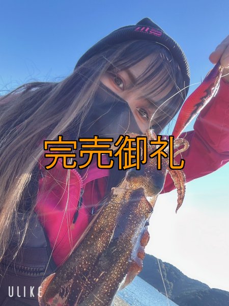 画像12: WILDCHASE 3.0号 /ピンクロビン[監修:藤本 奈浦子] (12)