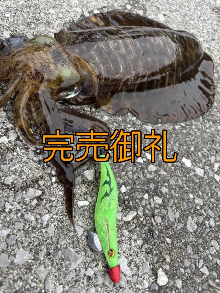 画像11: WILDCHASE 3.0号 /ピーコックＵＶ[監修:野田 広忠] (11)