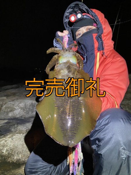 画像6: WILDCHASE 3.0号 /ピンクロビン[監修:藤本 奈浦子] (6)