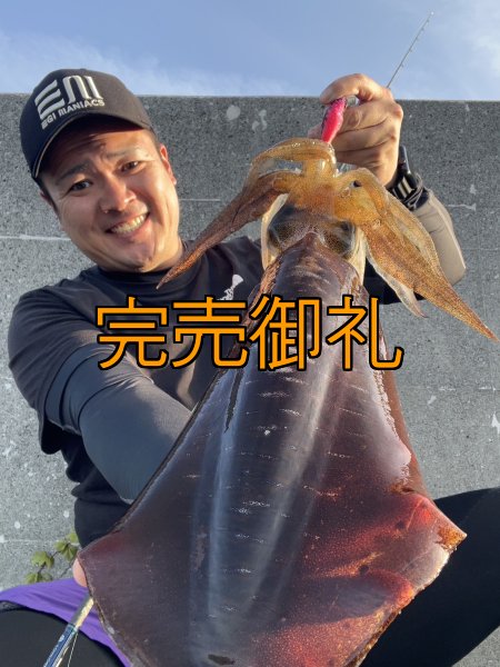 画像11: WILDCHASE 3.0号 /ピンクロビン[監修:藤本 奈浦子] (11)