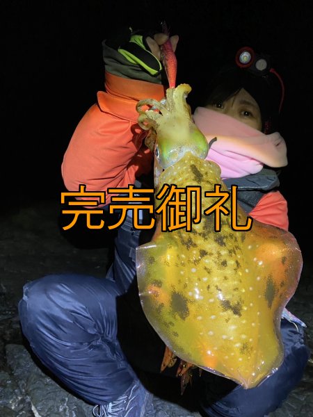 画像10: WILDCHASE 3.0号 /ピンクロビン[監修:藤本 奈浦子] (10)