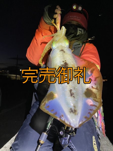 画像8: WILDCHASE 3.0号 /ピンクロビン[監修:藤本 奈浦子] (8)