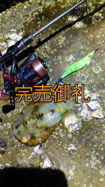 画像14: WILDCHASE 3.0号 /ピーコックＵＶ[監修:野田 広忠] (14)