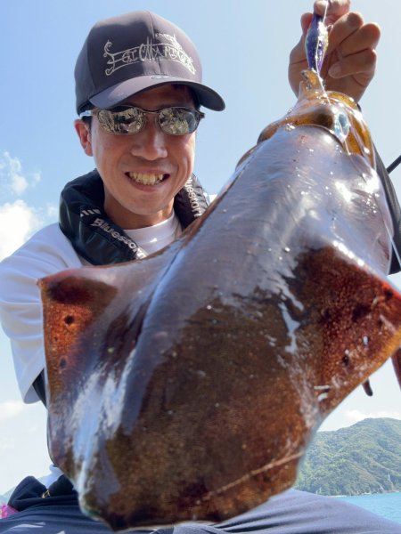 画像7: WILDCHASE 3.0号 /俺のフェニックス[監修:椿本 洋士] (7)