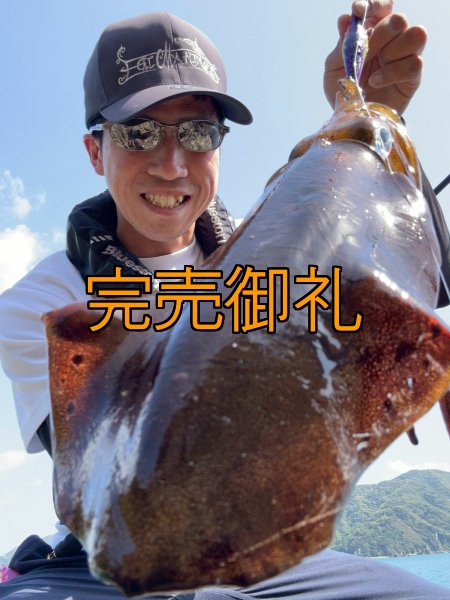 画像7: WILDCHASE 3.5号シャローtune /俺のフェニックス[監修:椿本 洋士] (7)