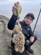 画像15: WILDCHASE 3.5号シャローtune /ピーコックＵＶ[監修:野田 広忠] (15)