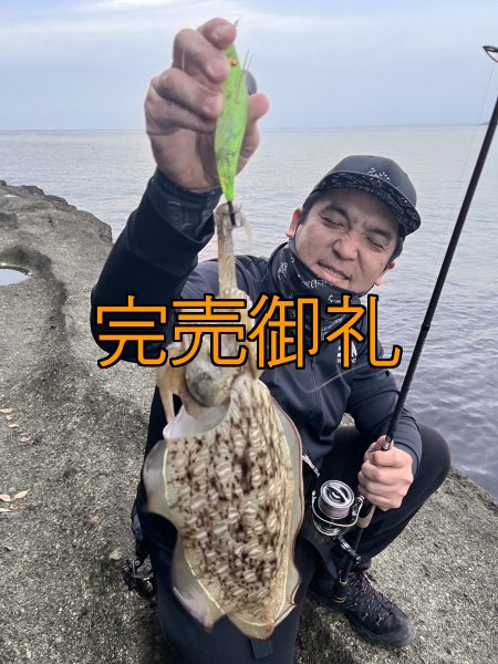 画像15: WILDCHASE 3.0号 /ピーコックＵＶ[監修:野田 広忠] (15)