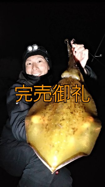 画像7: WILDCHASE 3.0号 /ピンクロビン[監修:藤本 奈浦子] (7)