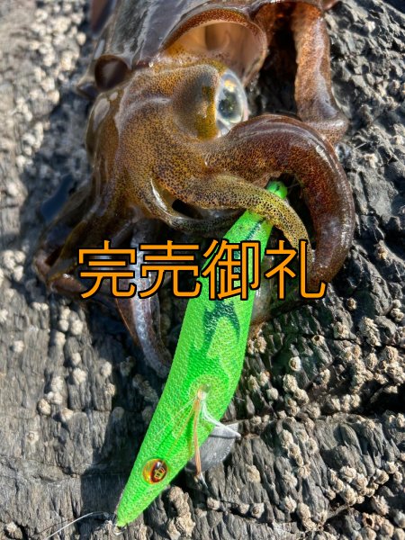 画像9: WILDCHASE 3.0号 /ピーコックＵＶ[監修:野田 広忠] (9)