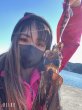 画像13: WILDCHASE 3.5号シャローtune /ピンクロビン[監修:藤本 奈浦子] (13)