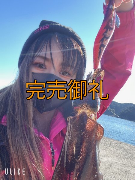 画像13: WILDCHASE 3.0号 /ピンクロビン[監修:藤本 奈浦子] (13)