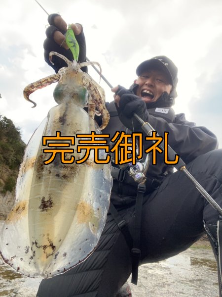 画像5: WILDCHASE 3.0号 /ピーコックＵＶ[監修:野田 広忠] (5)