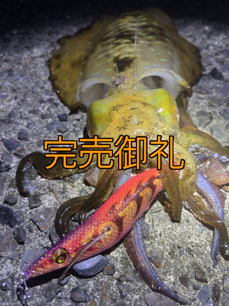 画像14: WILDCHASE 3.0号 /ピンクロビン[監修:藤本 奈浦子] (14)