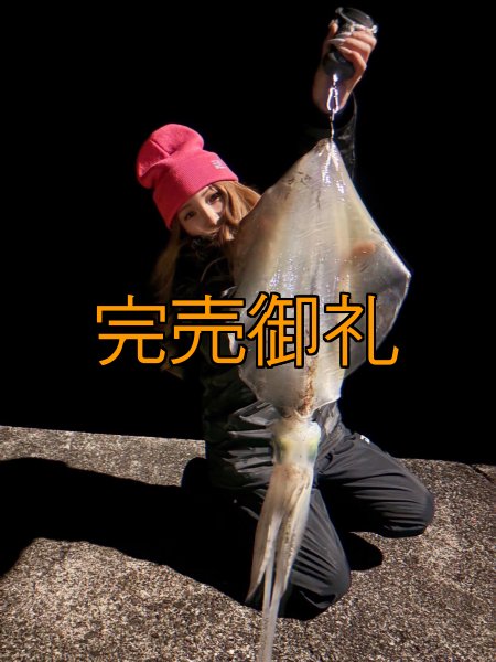 画像9: WILDCHASE 3.5号シャローtune /俺のフェニックス[監修:椿本 洋士] (9)